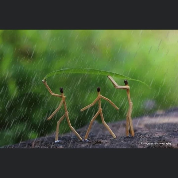 Meet your Posher, Rudi - Picture 1 of 1